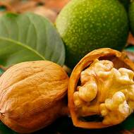 Саженец Грецкий орех Кочерженко